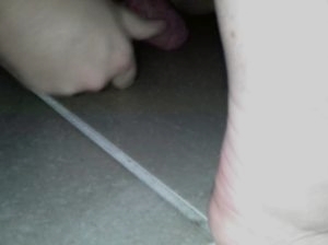 ���� �������� �� ����� ������� �������� 